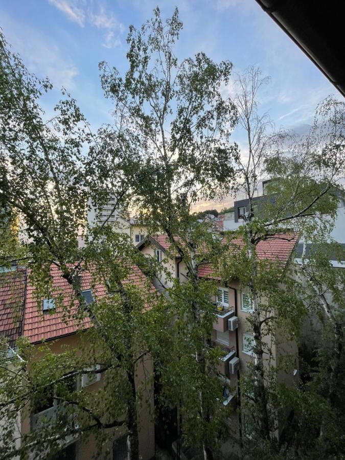 Modern & Cozy 2-Bedroom Vacation Home In SJJ Eksteriør bilde